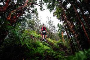 BIB: 
                            <button type="button" onclick="openModal(26203637)" class="btn btn-primary btn-sm float-right btn-popup" data-toggle="modal" data-target=".modal-high-quality">
                        <i class="fas fa-shopping-cart"></i> Add to Cart
                    </button>
                                            <button type="button" onclick="isThisMe(26203637, true)" class="btn btn-success btn-sm float-right btn-popup btn-isme hidden" data-toggle="tooltip" data-placement="bottom" title="นี่คือรูปของคุณใช่ไหม คลิกที่นี่เพื่อเอาเข้าอัลบั้ม">
                        <i class="fas fa-plus"></i> Add to album
                    </button>
                    <button type="button" onclick="isThisMe(26203637, false)" class="btn btn-warning btn-sm float-right btn-popup btn-isnotme hidden">
                        <i class="fas fa-ban"></i> Remove from album
                    </button>